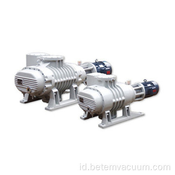 Roots Vacuum Pump Booster Vacuum Pump